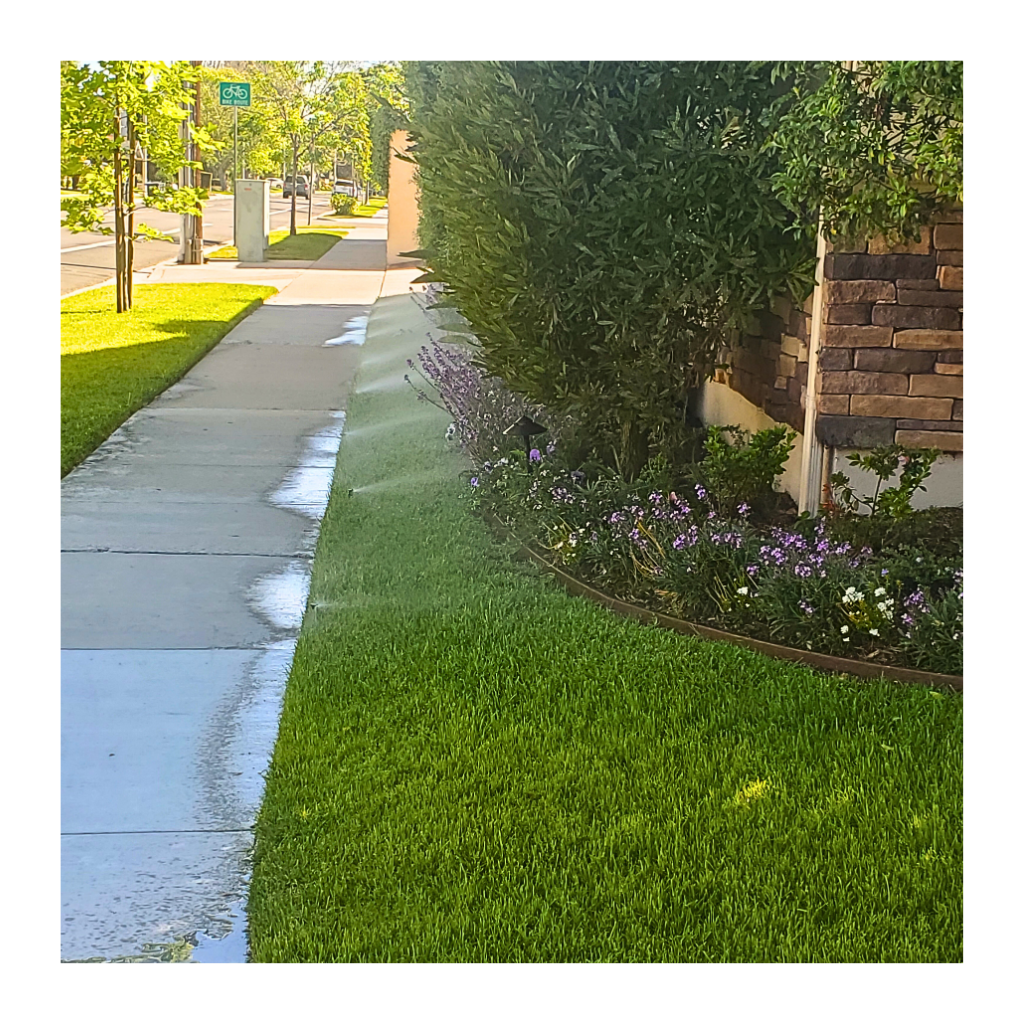 Landscape Lighting Orange County,CA