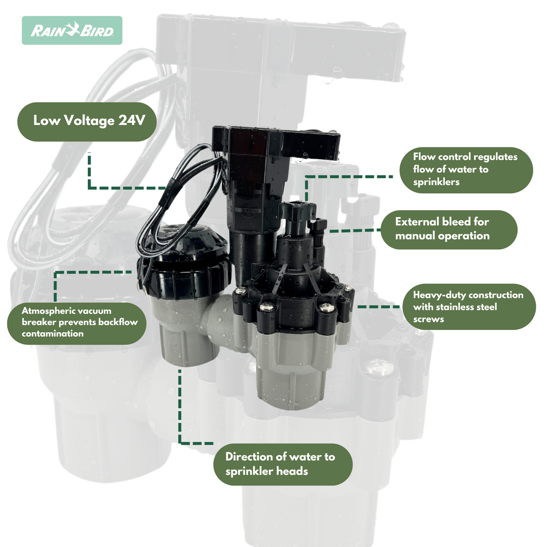 Rain Bird Sprinkler Irrigation Valve Anti-Siphon with Flow Control, Back-flow Preventer,Heavy Duty, Automatic Solenoid 24VAC 50/60Hz.