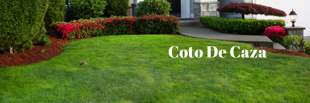 February's Best Sprinkler Installations for Coto De Caza