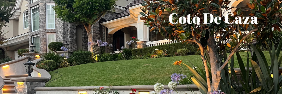 Transforming your Coto De Caza Landscape with Pro lighting