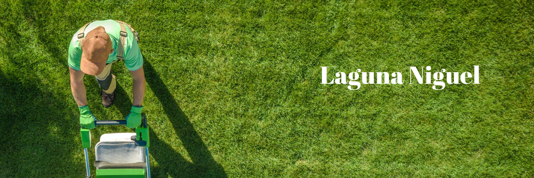 Boosting Plant Health with Smart Irrigation in Laguna Niguel