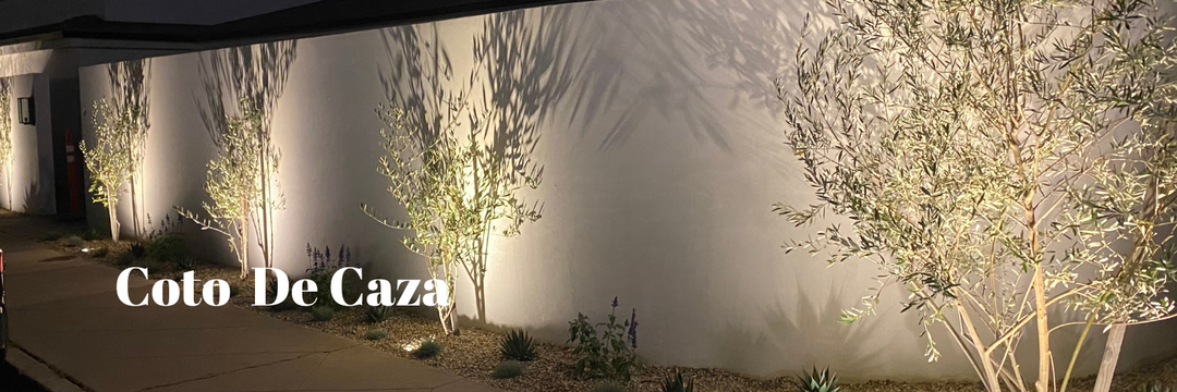 Reliable Landscape Lighting Repair in Coto De Caza