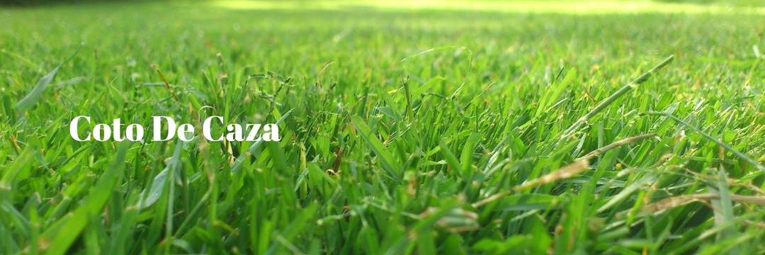 Smart Irrigation Techniques for Coto de Caza Residents