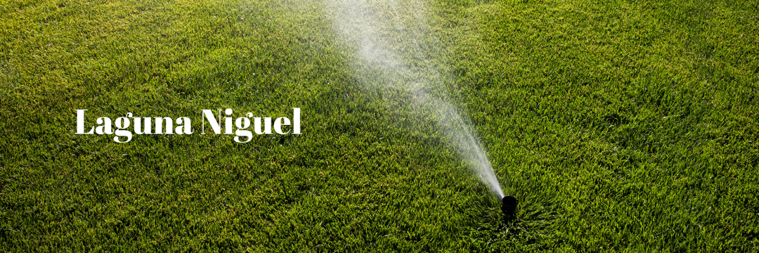 Top Benefits of Implementing a Drip System in Laguna Niguel