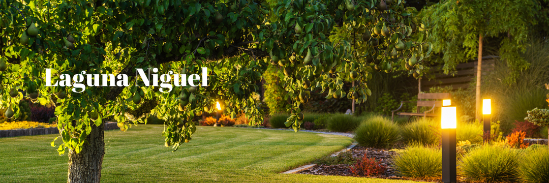 Start Your Landscape Lighting Journey in Laguna Niguel 2025