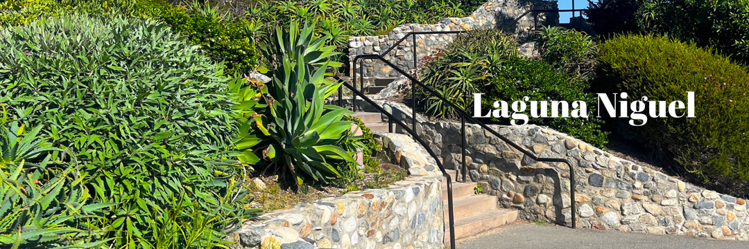 How Sprinklers Improve Property Value in Laguna Niguel
