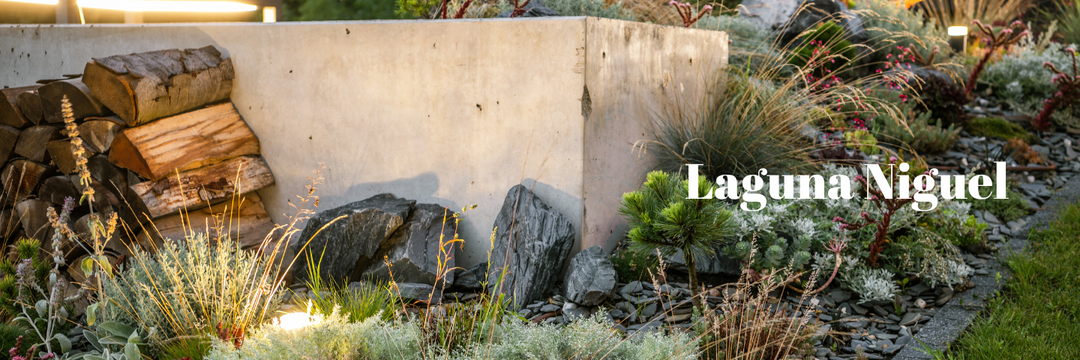 2025 Is the Year for a New Lighting System Laguna Niguel