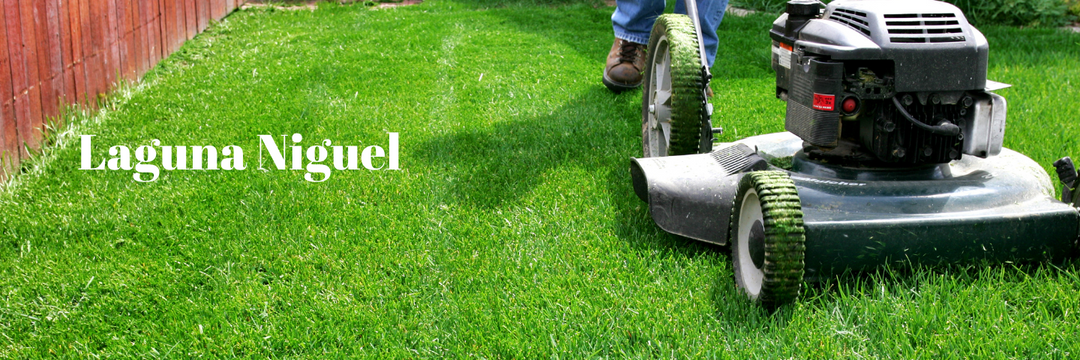 DIY Sprinkler Care: Tips for Laguna Niguel Homeowners