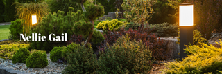 Landscape Lighting in Orange County | Nellie Gail