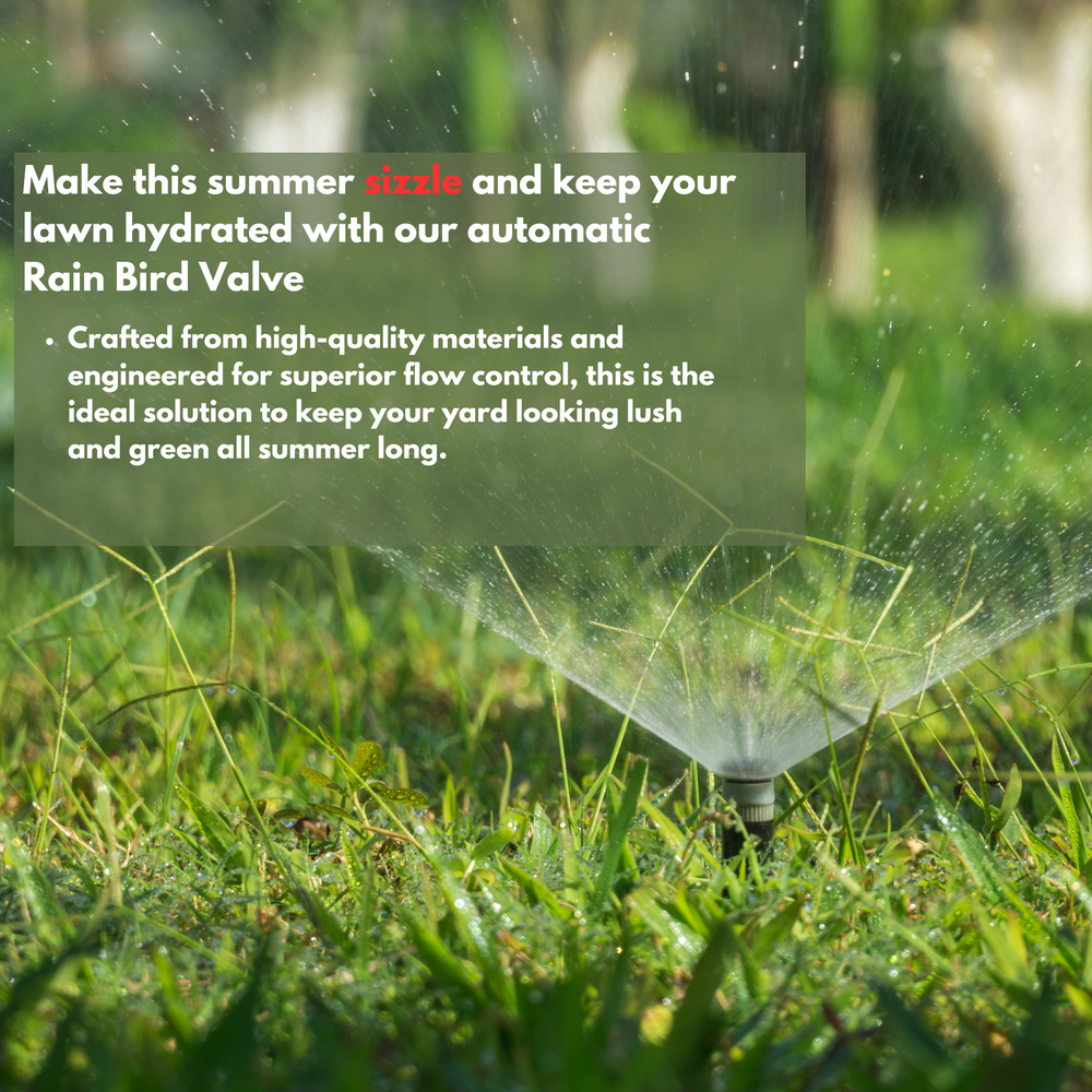 Rain Bird Sprinkler Irrigation Valve Anti-Siphon with Flow Control, Back-flow Preventer,Heavy Duty, Automatic Solenoid 24VAC 50/60Hz