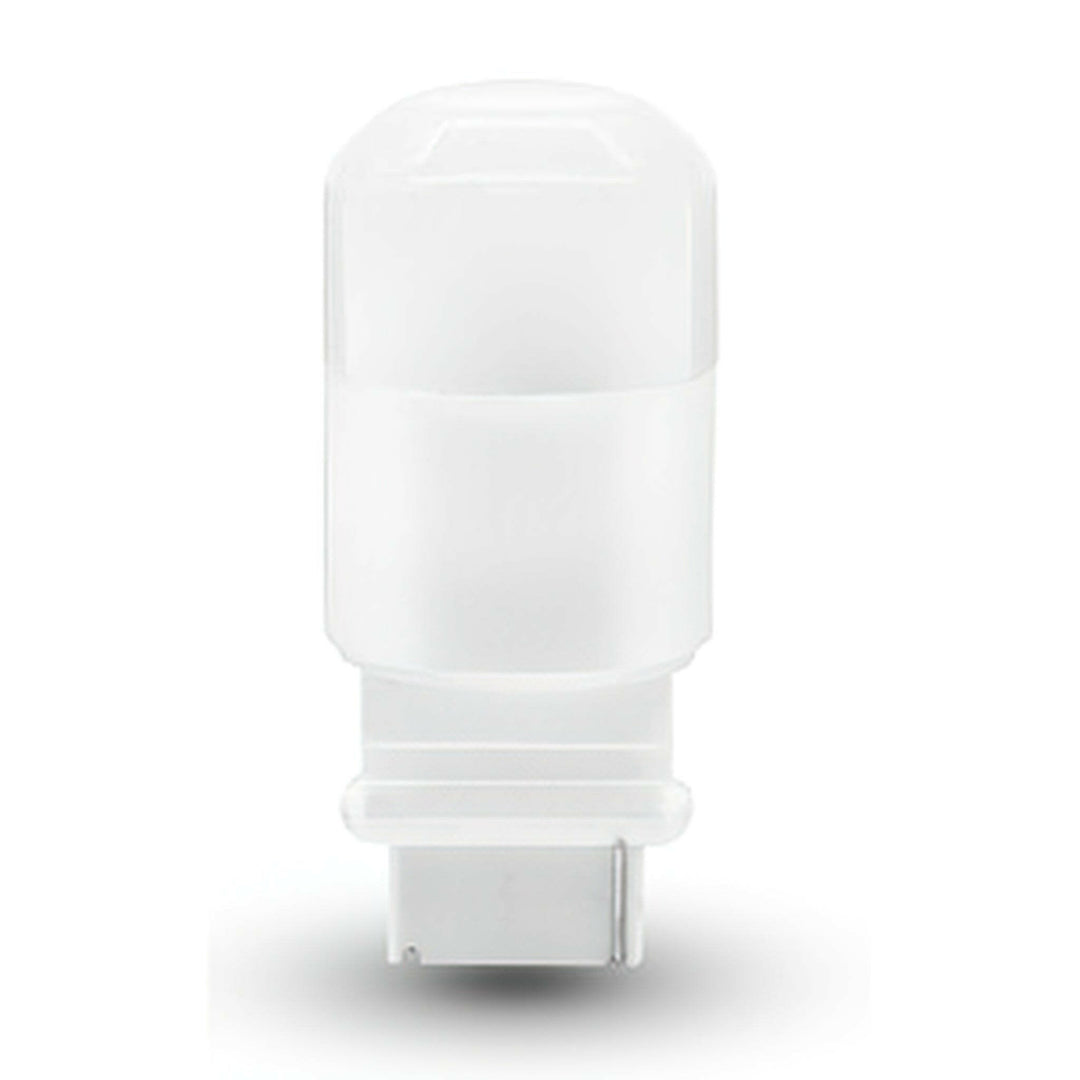 Top Notch | LED - Bulbs